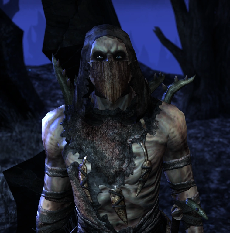 Elder scrolls некромант. Elder scrolls 6 некромант. Некромант the elder scrolls online art. Некромант тесо. The elder scrolls online некромант.