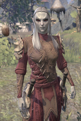 Dialogue screen