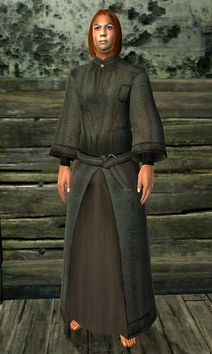 Aegis Robe | Elder Scrolls | Fandom
