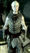 KnightPaladinGelebor