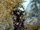 Spriggan Earth Mother.png