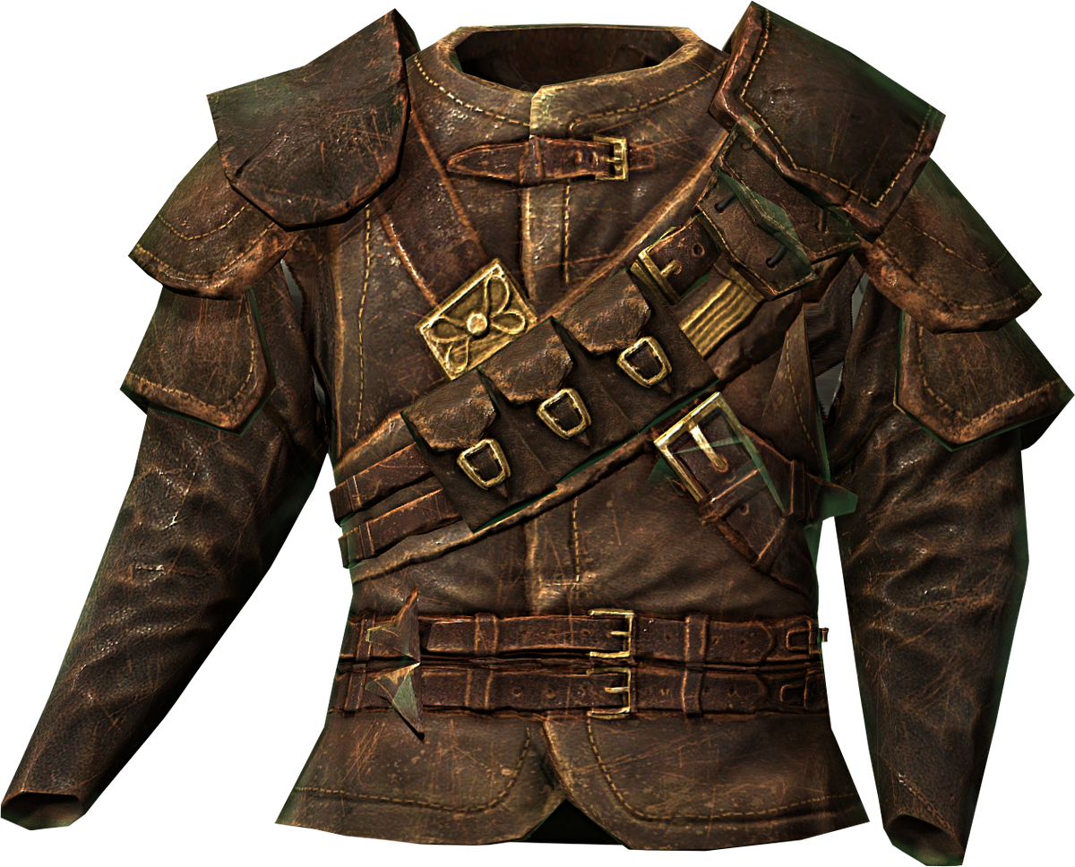 skyrim thieves guild armor costume