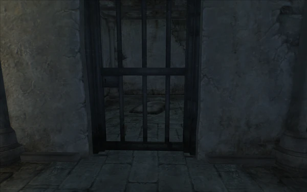 Одна из камер