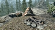 Bear Hunter's Camp