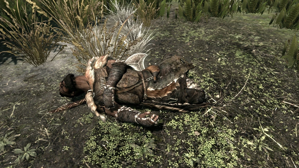 Skyrim комната с убитыми персонажами. Скайрим некромант. Мёртвый аргонианина. Скайрим комната с мертвыми нпс. Dead npc.