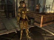 Elven Armor Female