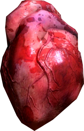 Human heart