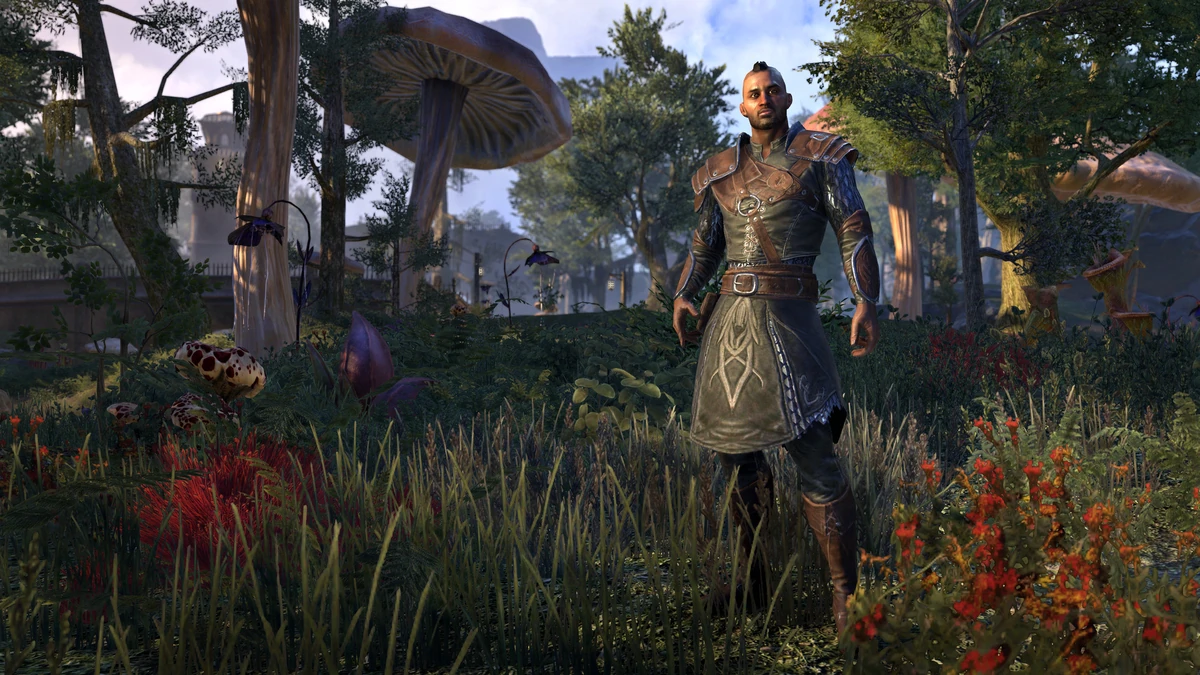 Austere Warden Outfit Elder Scrolls Fandom