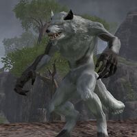 Werewolf Transformation Morphs Fur Color Elder Scrolls Online