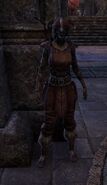 An Argonian Pact archer.