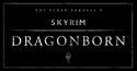 Dragonborn official banner