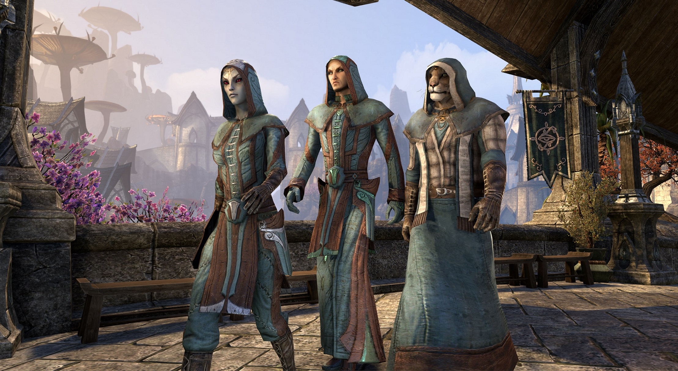 Elder Scrolls Online - More Like Fashion Scrolls Online - The