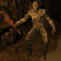 Ash Spawn Elder Scrolls Fandom