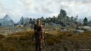 Whiterun from a distance.