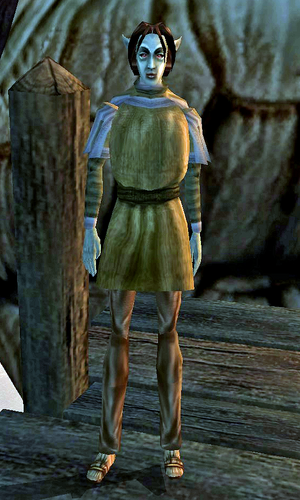 Darvame Hleran (Morrowind)