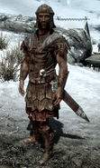 An Imperial Soldier, as seen in The Elder Scrolls V: Skyrim.