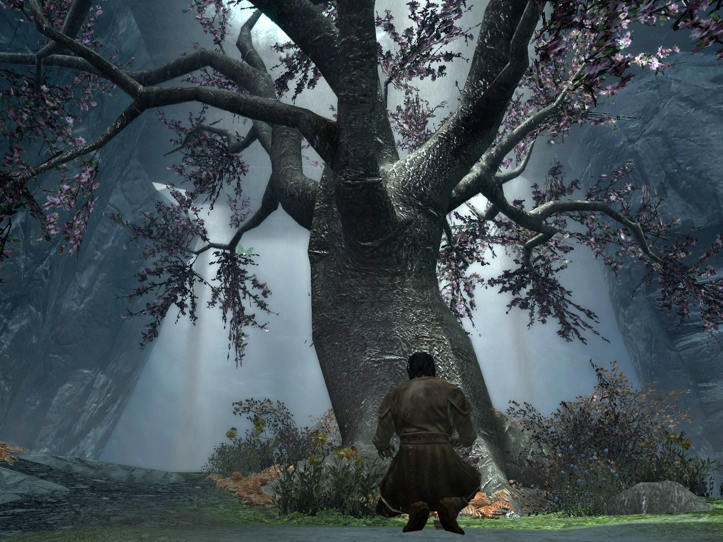 Wise mystical tree found in Eldergleam sanctuary : r/SkyrimMemes