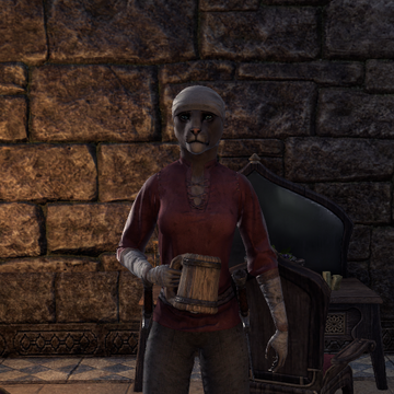 elder scrolls fandom