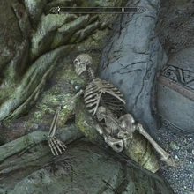 Labirintian Skyrim The Elder Scrolls Wiki Fandom