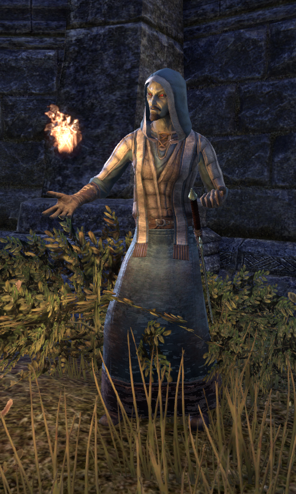 elder scrolls mage