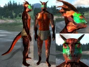 Fisiología corporal de un argoniano en .