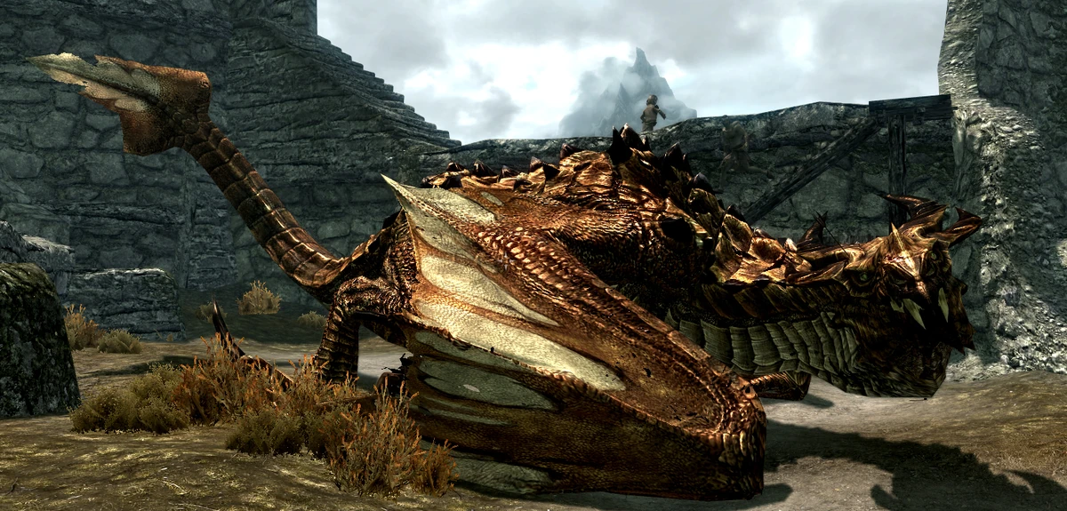 Old dragons net
