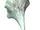 Fungus Stalk (Skyrim Creation Club)