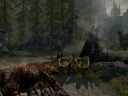 Category Skyrim Giant Camps Elder Scrolls Fandom On a related note, even though i ate the cheese at the sw giant camp (finished the achievement for eating all the camp cheeses) the map icon for it still shows up as black instead of white as if i hadn't completed that one. category skyrim giant camps elder