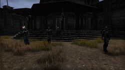 Fort Rayles Guards.jpeg