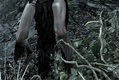 hagraven corpse is t-posing me i'm scared : r/skyrim