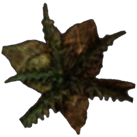 Morrowind Bittergreen Petals