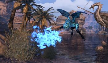 Grenouille dragon bleue des oasis