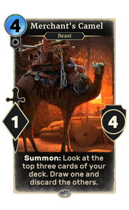 Merchant's Camel