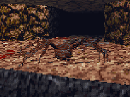 Arena - Spider