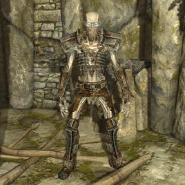 Draugr Scourge