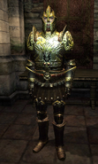 The Hero in the Imperial Dragon Armor