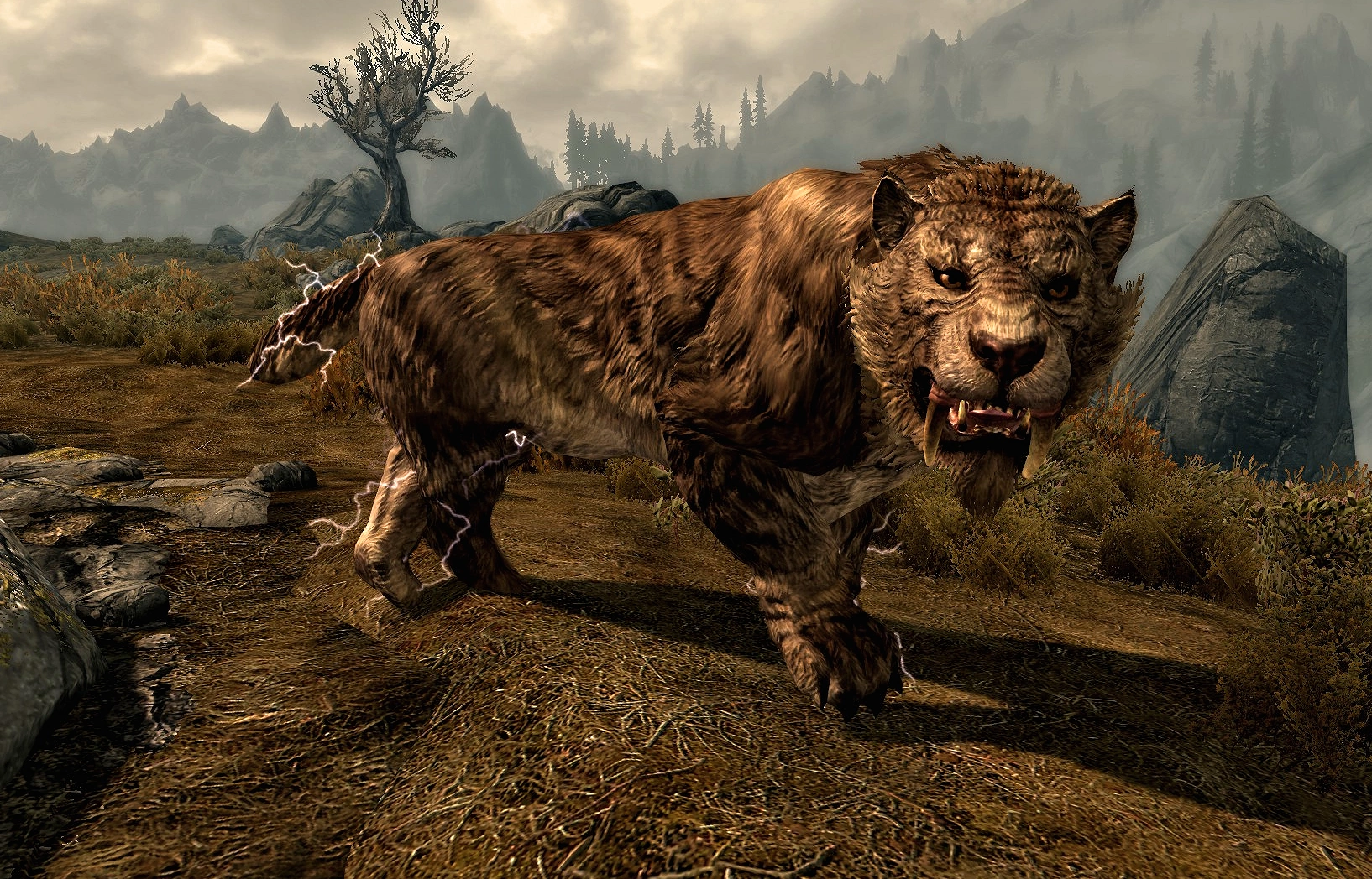 Sabre Cat (Skyrim) | Elder Scrolls | Fandom