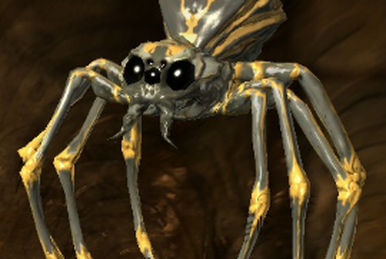 Spider pack cheap