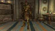 Elven Armor Full