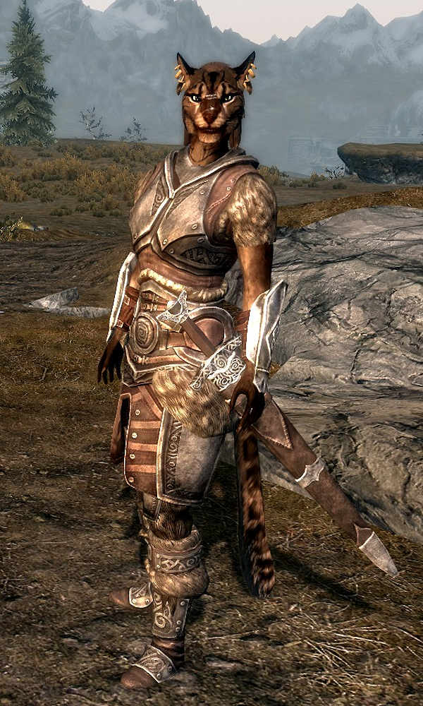 khajiit followers in skyrim