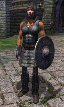 https://static.wikia.nocookie.net/elderscrolls/images/3/3d/Chainmail_Armor.png/revision/latest/thumbnail/width/360/height/360?cb=20141105235857