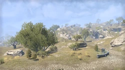 La Costa d'Oro deve il nome alla caratteristica savana dorata che la ricopre quasi interamente.