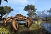 Prodigious Brass Mudcrab (Pet)