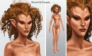 Wood Elf Female