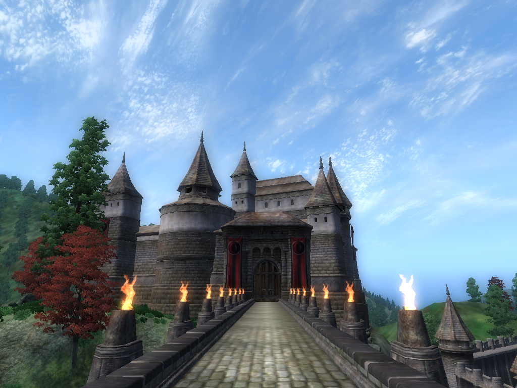 Castle Skingrad) - замок в игре The Elder Scrolls IV: Oblivion. 