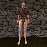 common_shirt_01_z