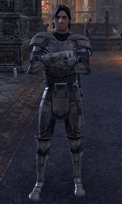 Elder Scrolls Wiki on X: Darien Gautier is a Breton captain of the Camlorn  Guard. Alinon the Alchemist describes him as a better tactician than his  father, General Gautier, even if he