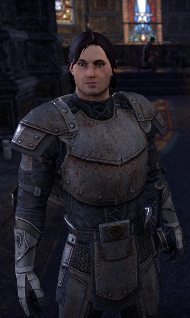 Elder Scrolls Wiki on X: Darien Gautier is a Breton captain of the Camlorn  Guard. Alinon the Alchemist describes him as a better tactician than his  father, General Gautier, even if he