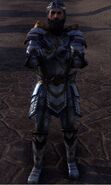 Emeric in his armor