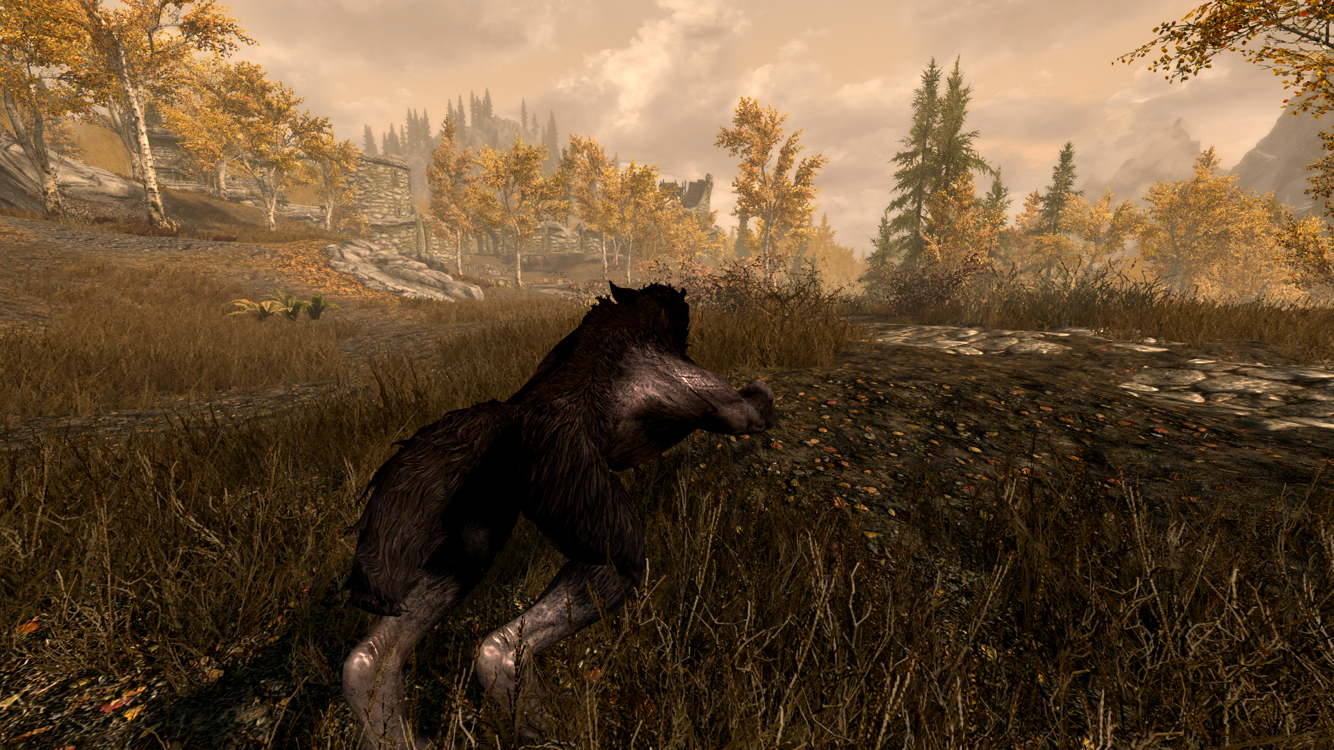 skyrim exit werewolf form